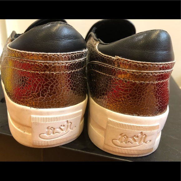 ASH Sneaker - Picture 6 of 6